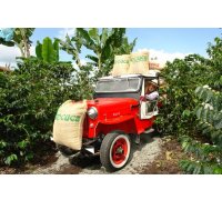 Recorrido de la Cultura Cafetera