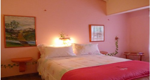 Habitación Camelia Rosada