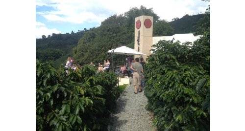 Tour cafetero por la cordillera